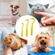 thumbnail image 1 of Peine para pulgas y herramienta para quitar garrapatas para mascotas Cepillo de aseo para perros/gatos Peine para quitar pulgas de acero inoxidable con mango ergonómico, 1 of 5