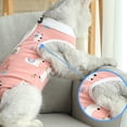 thumbnail image 5 of Xingjin Kitten Skin Recovery Clothes Suit Cat Post Surgery, E Collar Alternative Abdominal Anti Licking Pajama Sets for Cats and Dogs Comfort Wear Style,Pink,M, 5 of 8