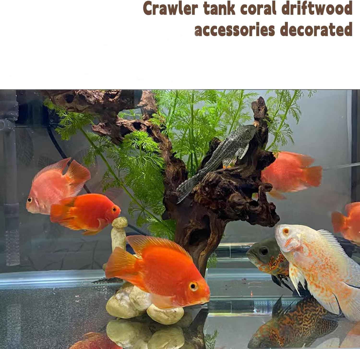Aquarium Driftwood Natural Trunk Assorted Branches Reptile Wood Decor Terrarium Ornament Fish Tank Decoration