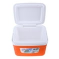 thumbnail image 4 of 5L 13L Bebidas/Alimentos/Medicina Nevera Caja Congelador Con Asa Aislamiento Caliente/Frío naranja Cola Enfriador que acampa del refrigerador, 4 of 7
