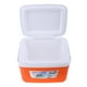 thumbnail image 4 of Nuevo Congelador de Caja de Enfriador de Bebidas / Alimentos / Medicinas de 5L 13L con Manija Que Se Mantiene Caliente / Frío - 5L naranja, 4 of 7