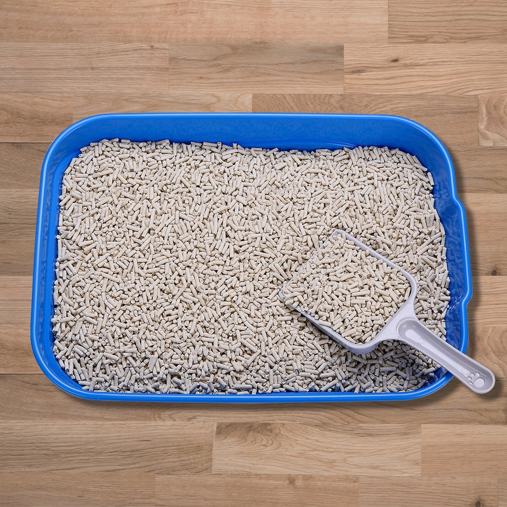 GreenJoy Kitty Litter Box Starter Kit - Without Lid Cat Litter Pan, Mat, Scoop and Bowl for Kitten