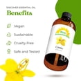 thumbnail image 3 of Sun Essential Oils - Cassia 4oz Bottle for Diffuser, Humidifier, Aromatherapy, Hair and Skin Care, 3 of 9
