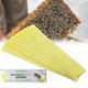 thumbnail image 4 of 80 Strips Wangshi Manhao-pro Fluvalinate Strip Varroa Mite Killer beekeeping Bee farming Anti Varroa Mite, 4 of 5