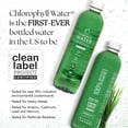 thumbnail image 3 of Chlorophyll Water - Ultra-Purified Water with Chlorophyll and Plant-Based Vitamins A, B12, C, D3, Clean Label Project Certified, 16.9 fl oz Bottles, 12 Pack, 3 of 5