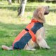 thumbnail image 3 of Chaleco para mascotas Perros grandes, medianos y pequeños Chaleco cálido a prueba de frío Ropa reflectante para mascotas MFZFUKR CPB-US-FXT527-2, 3 of 5