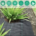 thumbnail image 2 of 1mx50m Rollo Malla Antihierbas, Geotextil para Jardín para el Control en el Desarrollo de Las Malas Hierbas, Resistente a la Rotura Permeable, Alta Estabilización UV Tejido de Cinta, 100 g/m² esquí esquí Gafas de esquí, 2 of 5