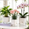 thumbnail image 2 of Self Watering Planter Square Flower Pot with Water Reservoir Wick Rope Modern Plant Pot for Indoor Desk Home Decor, 2 of 8