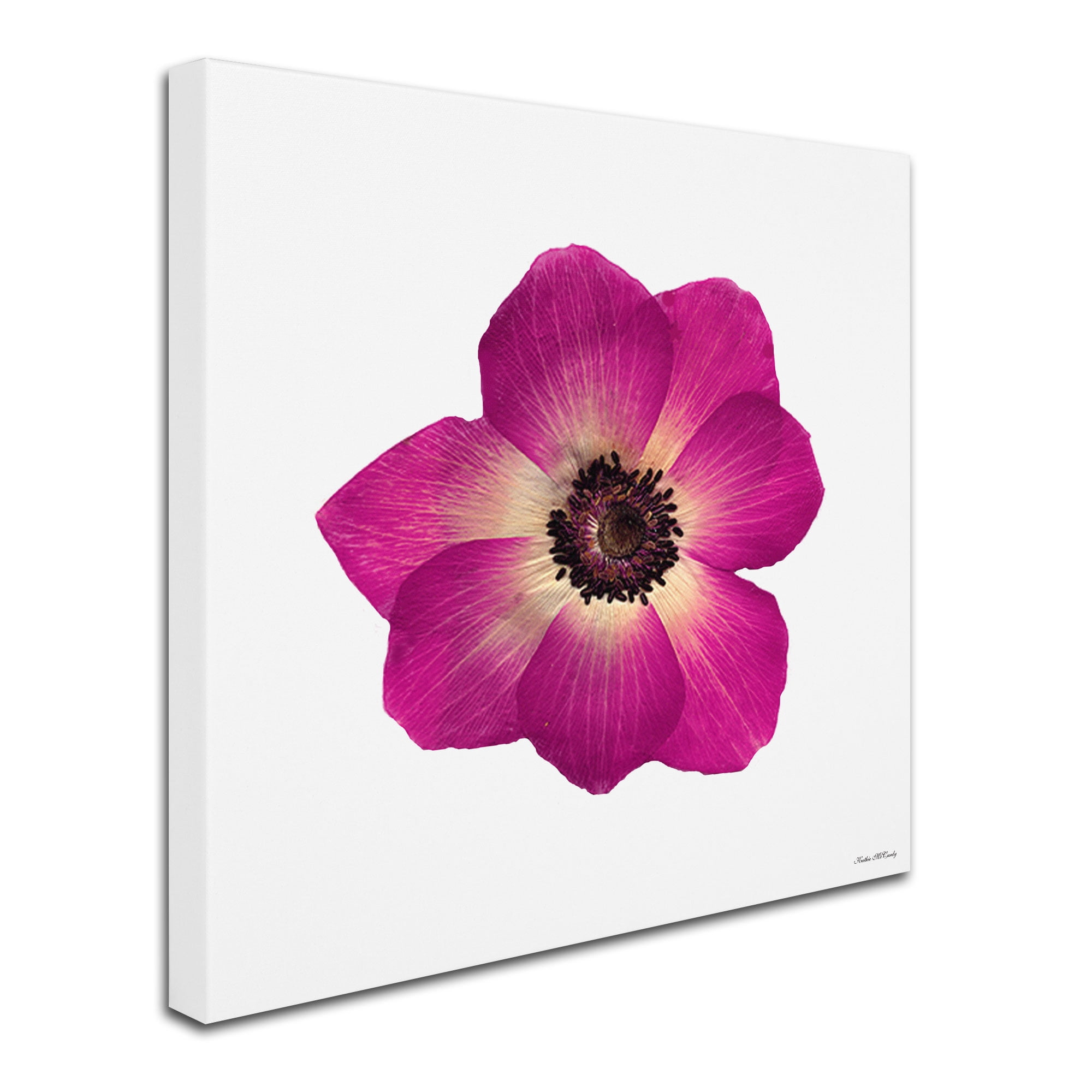 Trademark Fine Art "Hot Pink Flower" Canvas Art by Kathie McCurdy