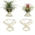thumbnail image 2 of 12 Piezas Soporte GeoméTrico para Plantas de Aire, Estantes para Plantas de Metal, Estantes para Macetas, DecoracióN Himmeli, Contenedores Tillandsia, 2 of 8