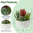 thumbnail image 2 of Artificial Mixed Succulents Plants in White Cement Planter Assorted Fake Succulents Plant Arrangements in Pots Faux Succulent Plants Potted Home Decor, 2 of 7
