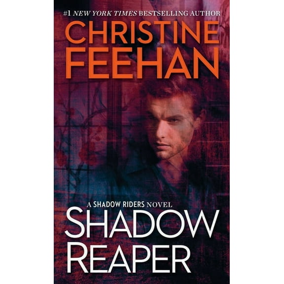 Shadow Riders Novel Shadow Reaper, Book 2, (Paperback)