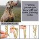 thumbnail image 4 of Yerliker Collar De Cadena Para Perro, Cadena De Eslabones Cu, 4 of 7