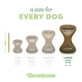 thumbnail image 4 of Benebone Dental Durable Dog Chew Toy for Aggressive Chewers, Real Chicken, Large, 4 of 6
