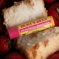 thumbnail image 3 of Burts Bees Honey and Strawberry Shortcake Lip Balm Pack, 2-Pack, 0.15 oz., 3 of 12