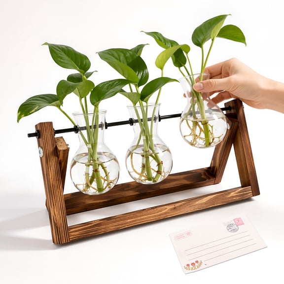 punada Propagation Vases, Plant Propagation Station with Wooden Stand and 3 Bulb Glass Vases, Hydroponic Plant Terrarium Holder for Indoor Plants