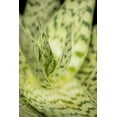 thumbnail image 2 of Berzel, Erin 11x14 White Modern Wood Framed Museum Art Print Titled - Green and White II, 2 of 4