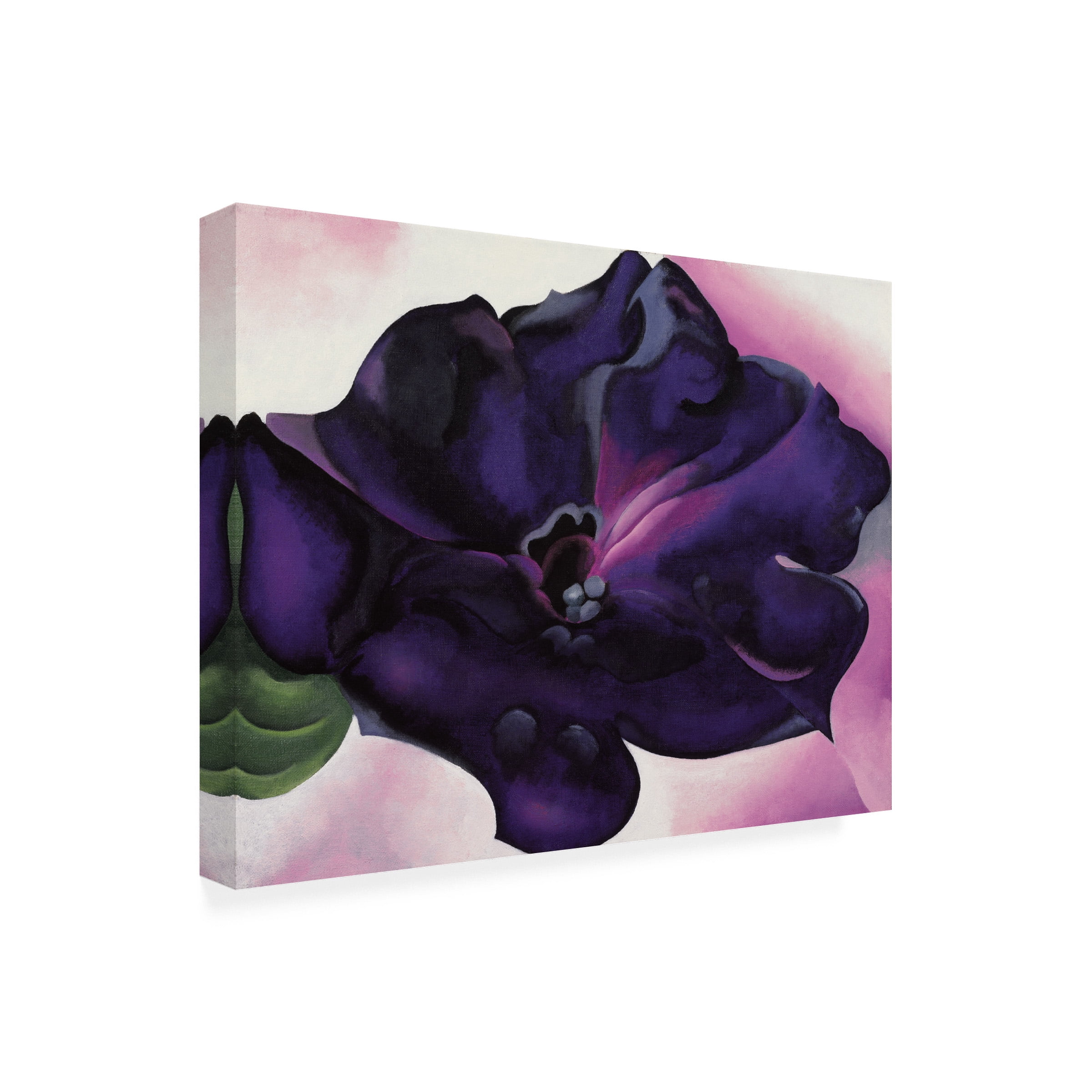 Georgia O'keefe 'Petunia' Outdoor Canvas