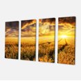thumbnail image 2 of Amazing Sunset over Yellow Field - Landscape Canvas Art Print, 2 of 3