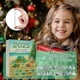 thumbnail image 3 of Sea Glass Christmas Tree Advent Calendar, Handmade Miniature Christmas Tree 2025, 3 of 5