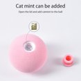thumbnail image 5 of Juguete De Pelota Para Gatos Juguete Interactivo Para Gatos Juguetes De Hierba Gatera Para Gatos Ejercicio Estimula El Instinto De Caza Del Gato 3 Uds Cateissary PT002455-01, 5 of 5