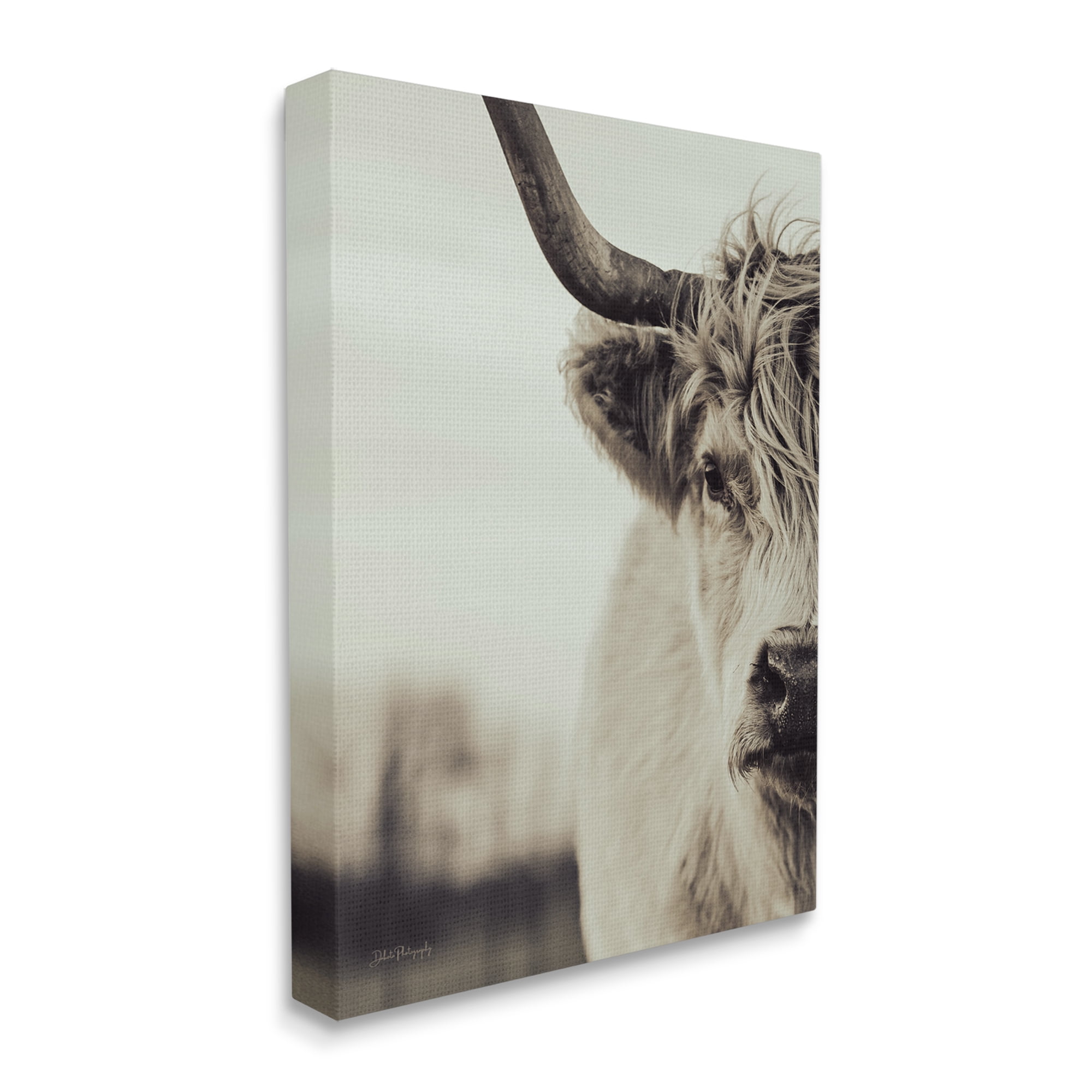 Stupell Industries Highland Cow Face Portrait Animals & Insects Photography Gallery Wrapped Canvas Art Print Wall Art, 24 x 30