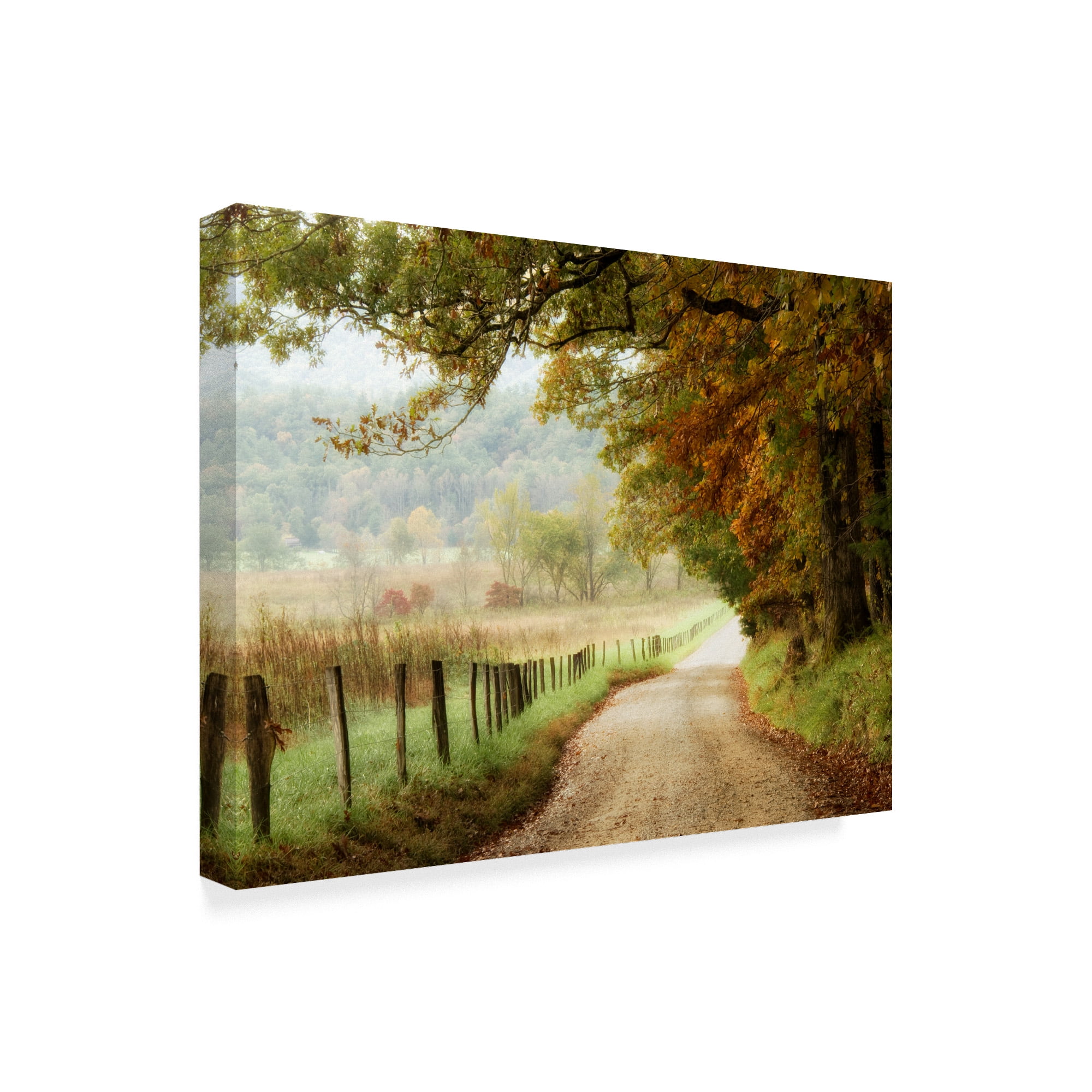 Trademark Fine Art Autumn On A Country Road Canvas Art By Danny Head Walmart Com Walmart Com