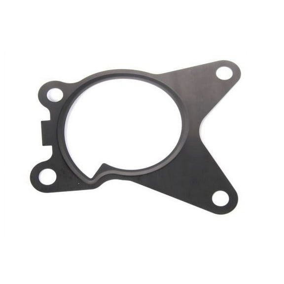 GM Genuine Parts Water Pump Gasket