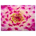 thumbnail image 2 of Design Art - Smooth White Rose Flower Petals, 2 of 4
