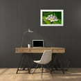 thumbnail image 3 of Engelbrecht, Lisa S. 24x17 White Modern Wood Framed Museum Art Print Titled - White Plumeria, 3 of 4