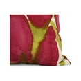 thumbnail image 2 of Simply Daisy's Sunset Tulip 16 inch Red Decorative Floral Throw Pillow, 2 of 2