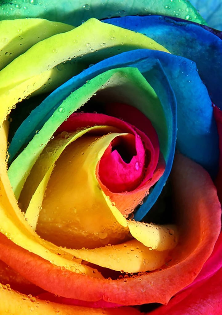 ダイヤモンドアートクラブ Rainbow Flower Power Rainbow Flower Power – Diamond Art Club