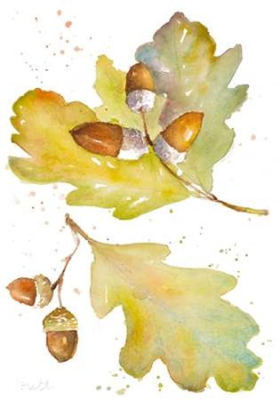 Acorns and Oak Leaves II Canvas Art - Lanie Loreth ()