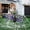 Purple, variant on Htwon Giant Hairy Spider with Web Halloween Outdoor Decorations for Garden Lawn