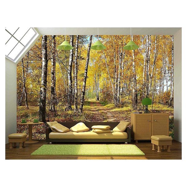 wall26 - Birch Grove in Autumn Forest - Removable Wall ...