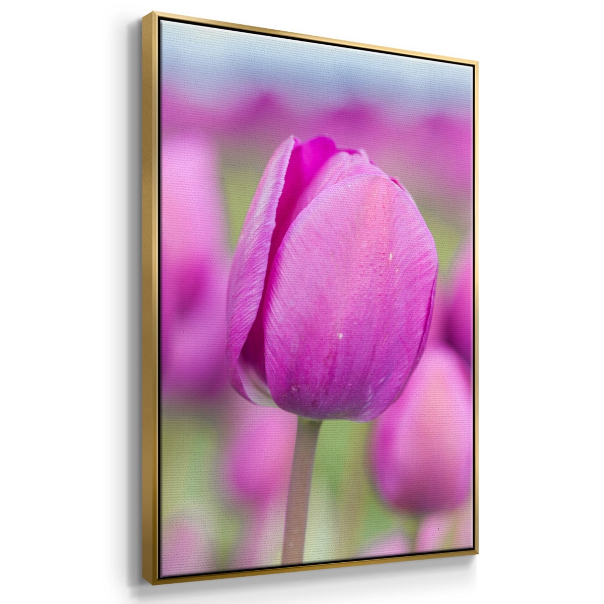 Magenta Stem Framed Premium Gallery Wrapped Canvas - Ready to Hang