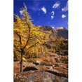 thumbnail image 1 of A Larch Tree Poster Print - 22 x 34 in. - Large, 1 of 1