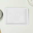 thumbnail image 5 of 4pcs Plastic Laboratory Reagent Trays for Chemical Experiments, Sample and Scientific Experiment Trays, Lab Trays, 5 of 7