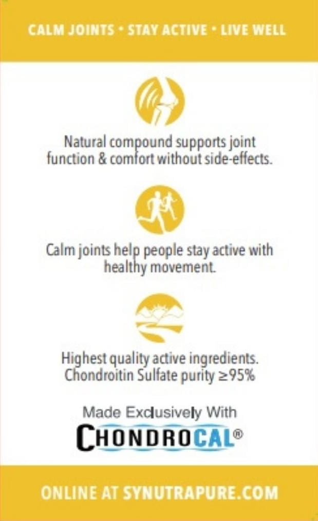 Buy Synthritis Joint Formula Chondroitin and Turmeric, 84CT, Fast