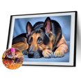 thumbnail image 2 of Wdftyju Perro acostado 5D DIY Diamond Painting Kits Full Square Drill Mosaic (40x50cm) Wdftyju 7qd0vd3hb5uh4ld4D03, 2 of 9
