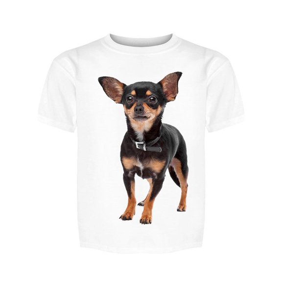 A Chihuahua Tee Girl's -Image by Shutterstock