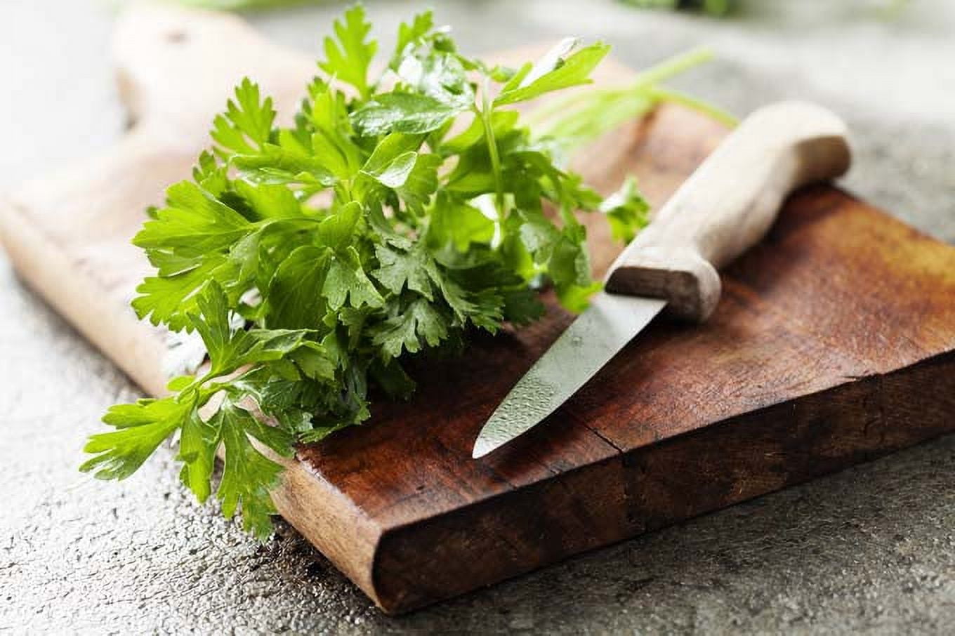 Seed To Stomach - Italian Herb Kit