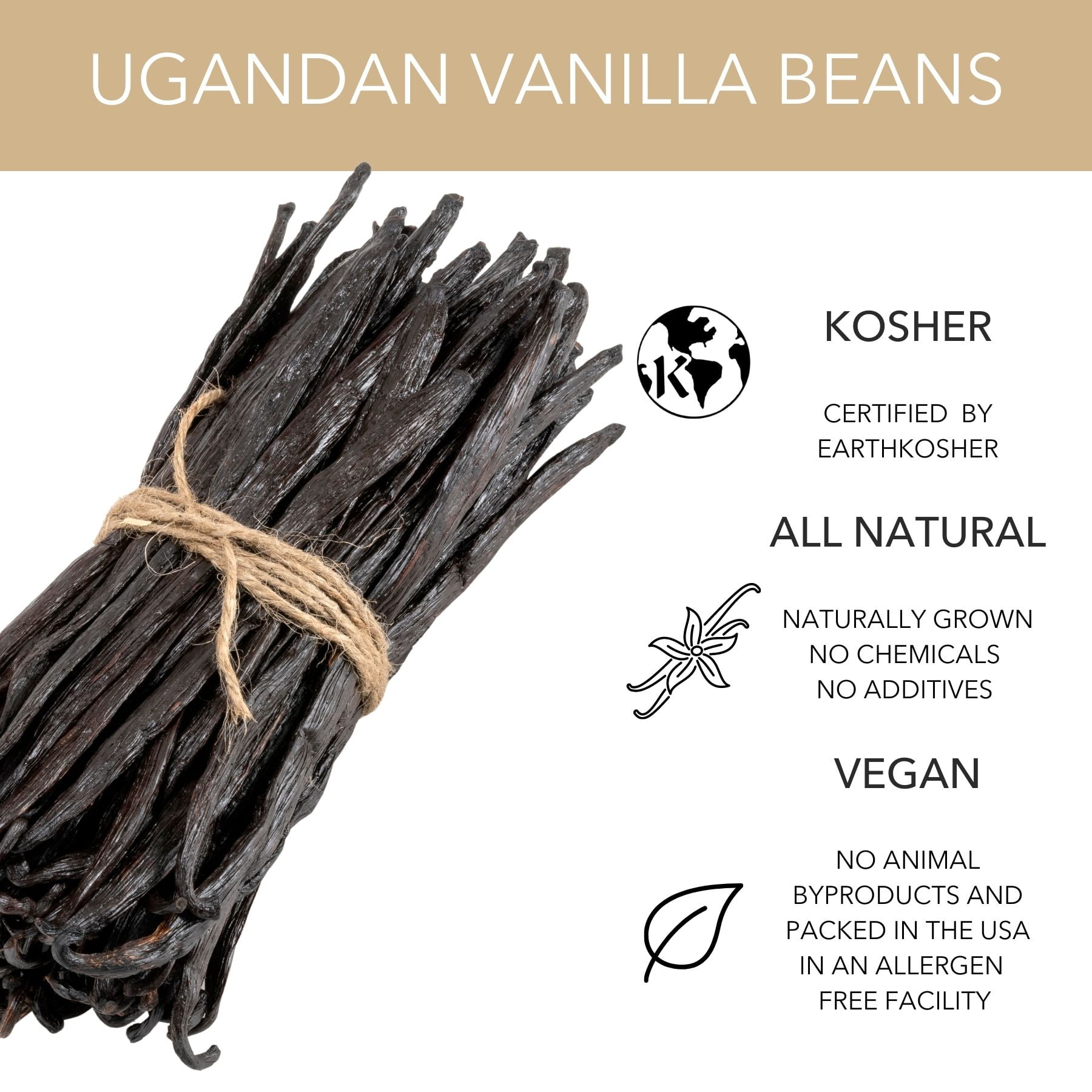 Slofoodgroup Gourmet Vanilla Beans from Uganda - 1/2 lb Whole Bean Pods
