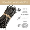 Slofoodgroup Gourmet Vanilla Beans from Uganda 10 Whole Bean Pods