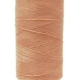 thumbnail image 2 of Bobine de Fil Polyester Gris Courtepointe Fournitures de Couture en Gros 10 Pcs Filé, 2 of 3