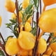 thumbnail image 2 of Wosthever Rama de limón artificial decorativa de 6 piezas para decoración de balcón y jardín Decoración de jardín Decoración del hogar verde, 2 of 6