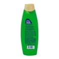 thumbnail image 2 of Shampoo Pert 2 en 1 olivo y aguacate 650 ml, 2 of 2