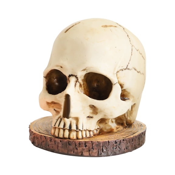 Darzheoy Skull Knife Holder for Kitchen Storage, Halloween Skull Decor Kitchen Storage Knife Rack Kitchen Fruit Storage Rack Decoration, Storage Rack Skeleton Decoration