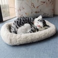 thumbnail image 3 of Dpityserensio Realistic Sleeping Breathing Furry Dog With Mat Animals Decor, 3 of 3