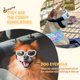 thumbnail image 4 of Gafas para perros Shuxiu Wang a prueba de rayos ultravioleta impermeables blancas, 4 of 5
